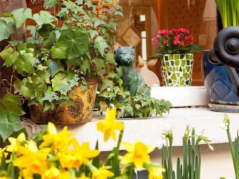 Hotel D'Albion Париж Екстер'єр фото